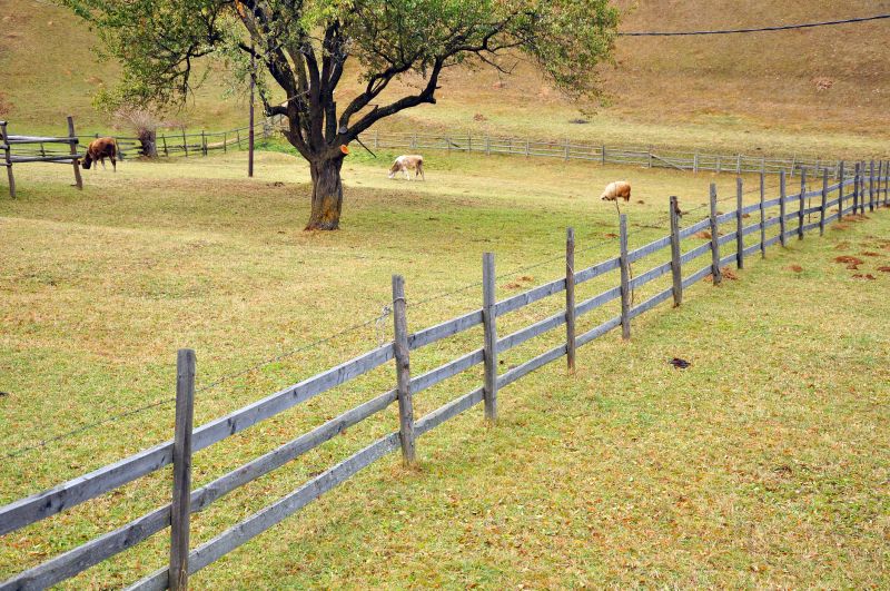 Farm Fence Service Cost — Cost of Farm Fence Service