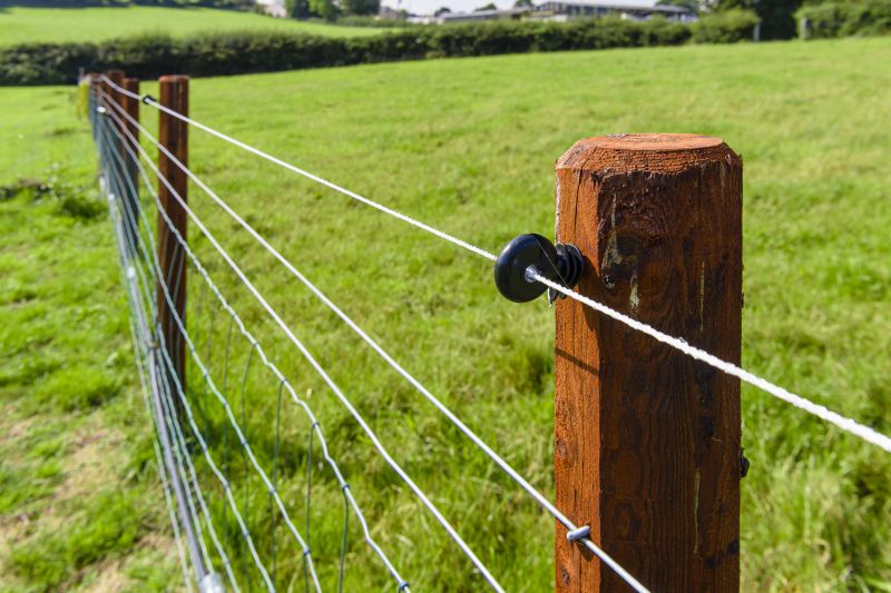 Completed Electric Fence