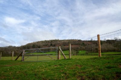Metal Gates